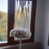 Hangmat voor katten