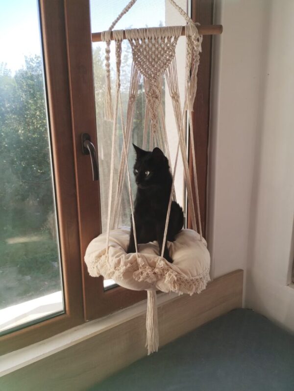 Hangmat voor katten